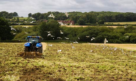 Ploughing a field