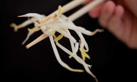 Health authorities in Germany say locally grown bean sprouts have been 