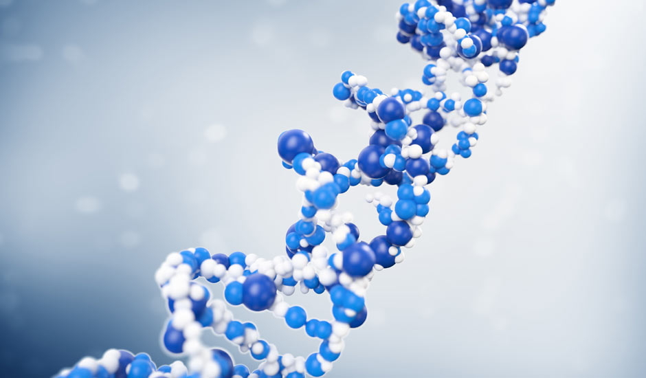 dna molecule project dna molecule project