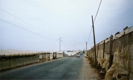 'Greenhouses' in Almeria, Spain, growing salad for export