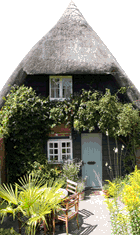 Thatched cottage