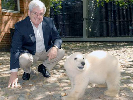 Newt Gingrich with Knut