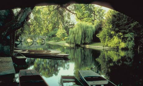 Punts in Cambridge