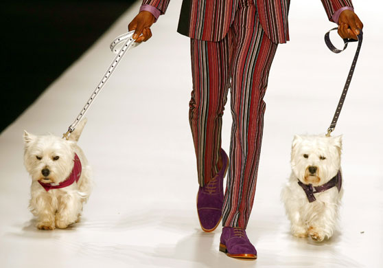 Summer fashion shows: Menswear at Cape Town fashion week