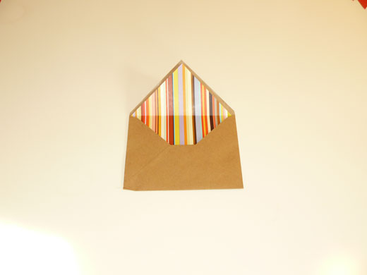 Envelope liners: Envelope liner