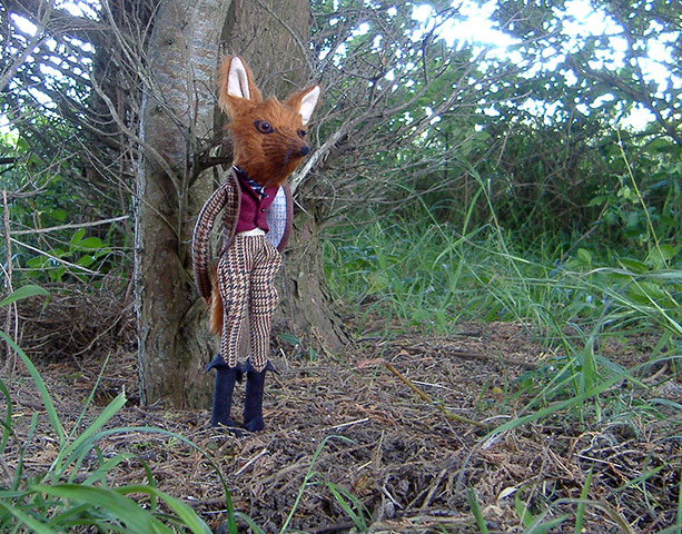 Craftidermy: Mr Fox, by Emma Cocker