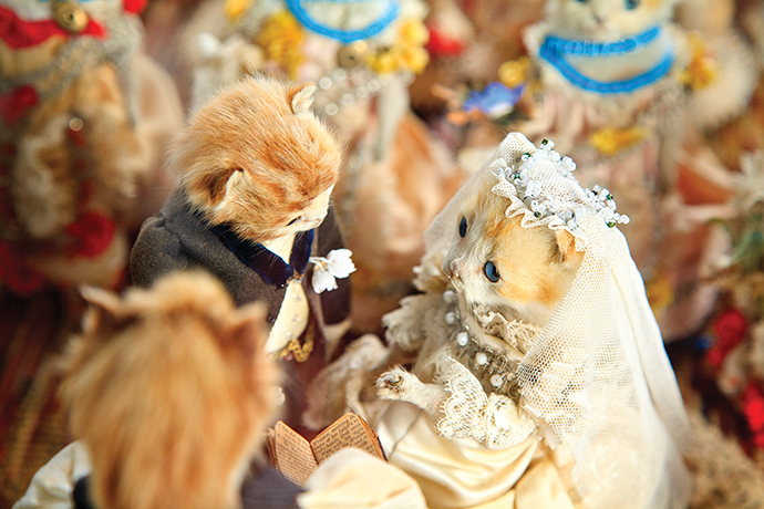 Potters Museum : The Kittens’ Wedding; circa 1890