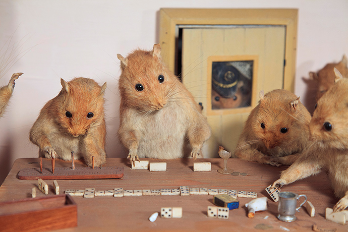 Potters Museum : The Lower Five; Late Nineteenth Century.