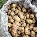 A sack of potatoes