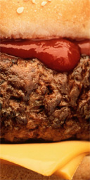 Hamburger / junk food