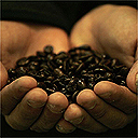 Coffee beans