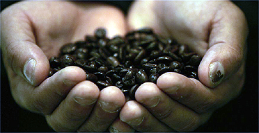 Coffee beans