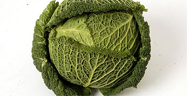 Cabbage