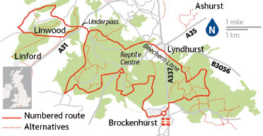 Cycling map: Brockenhurst circular