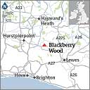 Blackberry Wood 