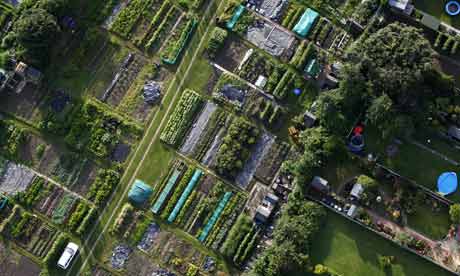 Allotments and gardens