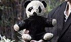 Andrew Martin's panda