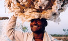 Man carrying cotton from People Tree's By Hand book