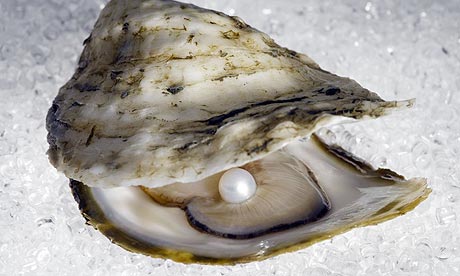 a pearl while eating oysters at his regular beachside restaurant