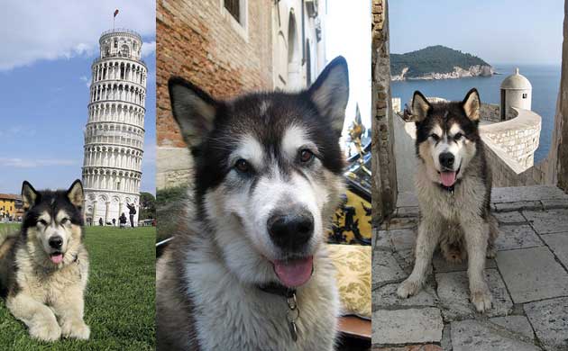 Grufts: Best-travelled