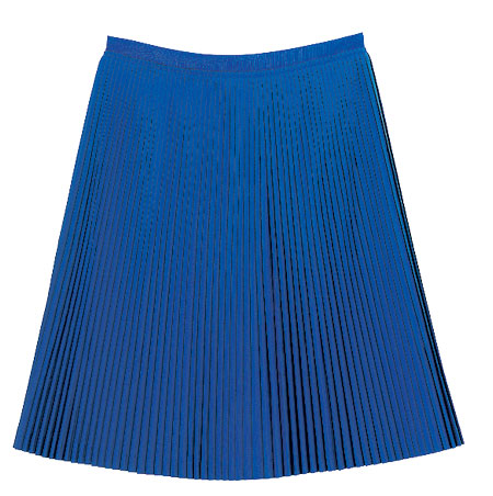 Gallery Pick of the week: Navy skirt