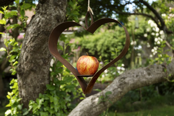 Best bird feeders: Bird feeder