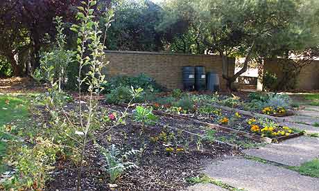 The Garden Museum's staff allotments