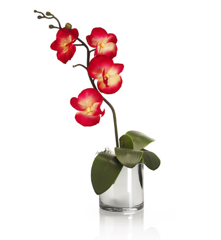 Orchids: Artifical orchid