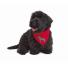 Christmas gifts: Pets: Dog bandana