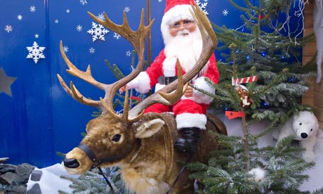 A Christmas display at a garden centre