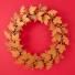 Christmas wreaths: Leaf wreath