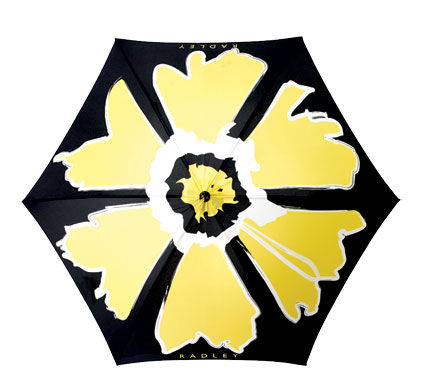 Six best umbrellas: Umbrella