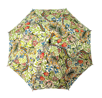 Six best umbrellas: Umbrella