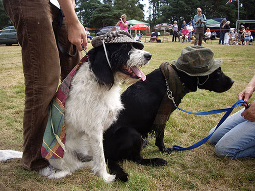 Grufts: The shortlist: Most stylish