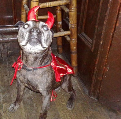 Grufts: The shortlist: Most heroic