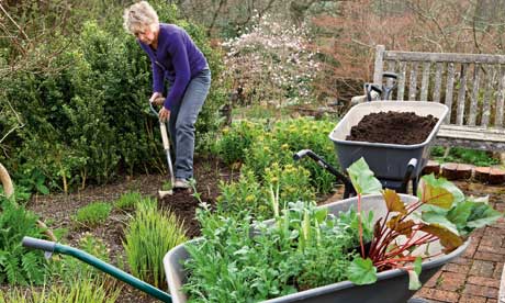 carol klein garden