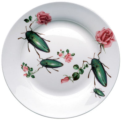 Space wishlist: Plate