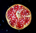 Pomegranate
