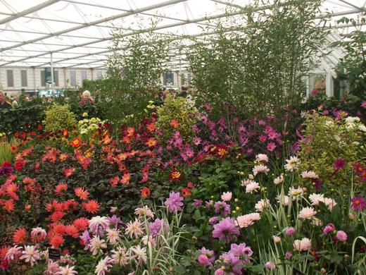 Chelsea winners: Winchester Growers