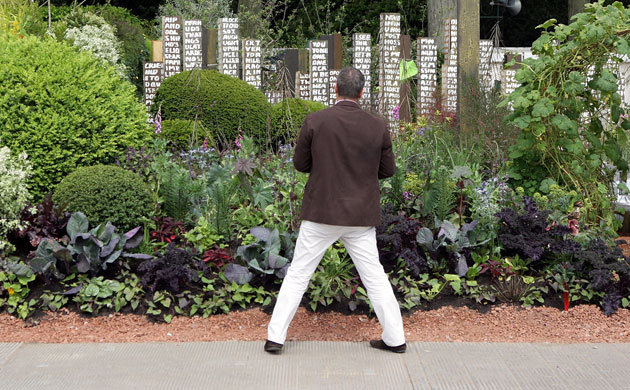 Chelsea weird stuff: A man looks at the Eden Project's 'Key' garden at Chelsea Flower Show