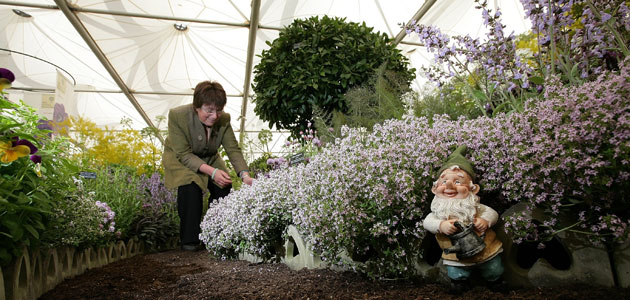 Chelsea weird stuff: A gnome at Chelsea Flower Show