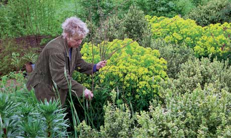 carol klein garden