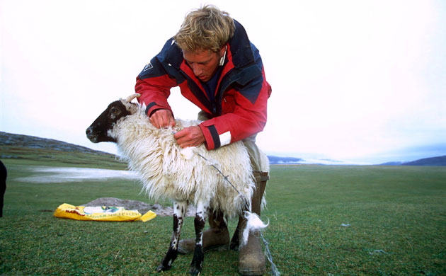 Ben Fogle: Ben Fogle