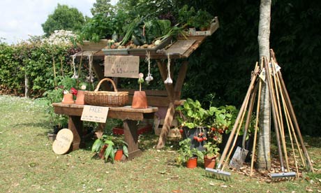 Selling plants on a stall at the school fair