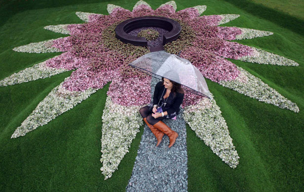 Tatton Park flower show: Quilted Velvet garden