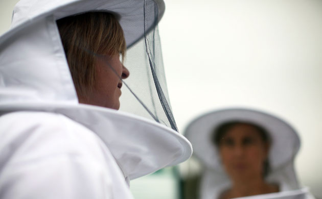 Tatton Park flower show: Exhibitors dressed as bee keepers
