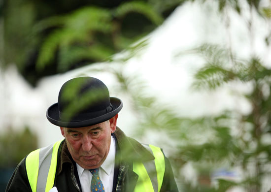 Tatton Park flower show: A judge casts his expert eye over the floral displays