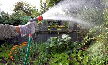 Watering the garden with a hose