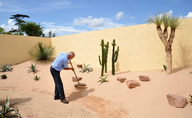 Hampton Court flower show: A Desert's Delight Garden