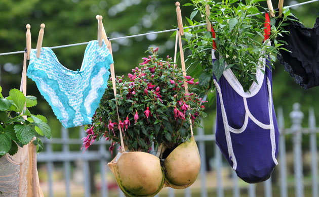 Hampton Court flower show: Hanging Bra-skets and Plants-Pants
